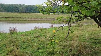 Nehir Kenarında Halka Açık Seks En İyi Arkadaşım BBW Güzeliyle. Amatör Çift Vahşi Eğlenceden Sonra Kıçına Boşalıyor.