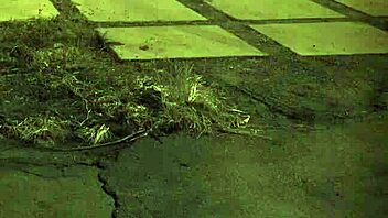 Girl in bondage with orgasm and gangbang