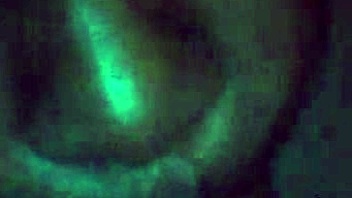 nikki takes monster black cock deep in wild throat action!