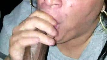 european italian interracial meeting on november 20, 2016