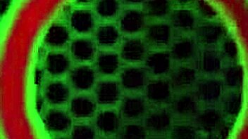 The Delightful Tasha Reign Pounds Dildo While Rubbing Wet Clit Outdoors.