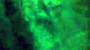 nikki takes monster black cock deep in wild throat action!