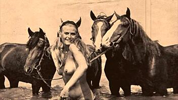 Top 20 kaunotarta villit salaisuudet vanhoissa ulkopanoissa