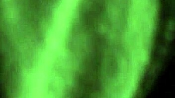 Deep Pussy Fucking From Behind Creampie