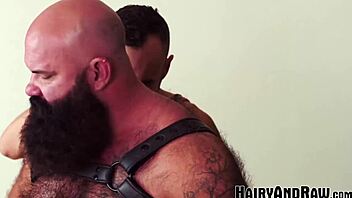 Hairyandraw bearded gay victor west fucked by drake michaels in rough bareback.
