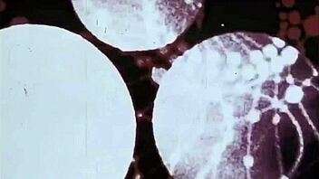 I Love Vintage Taboo Hairy Pussy in Interracial Threesomes