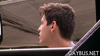 pleasuring gay blowjob action