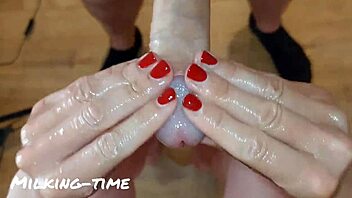 Sinipäinen sienikulli lypsetään rankasti lypsyaikana