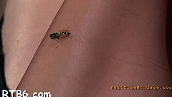 Gagged and bounded for castigation in rough contest