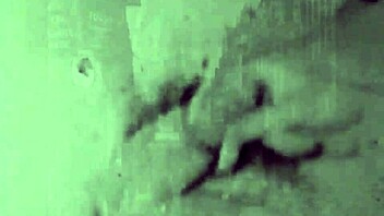 dark lantern entertainment presents two centuries of vintage porn