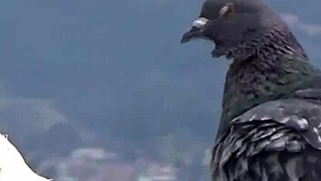 Best Big Booty Twerk For Lovers Thick Af 😍