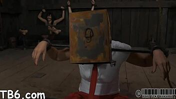 Bound slut in femdom bondage sucking cock.