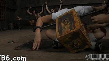 Bound slut in femdom bondage sucking cock.