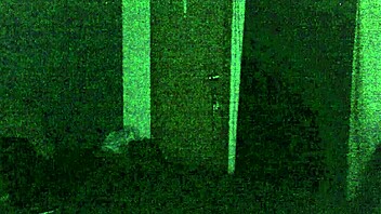 redneck and cd have a casual talk