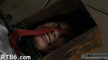 Bound slut in femdom bondage sucking cock.