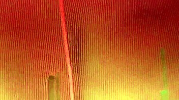 Big ass lesbian queening babe?