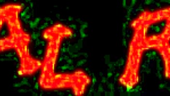 Watch Ariel Rose suck cock through a glory hole now!