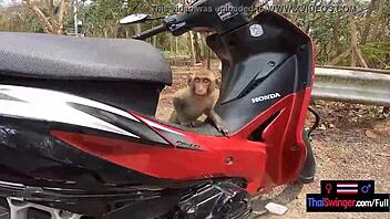 Amateur Asian teen 18+ rides big cock boyfriend after day out. Hot hardcore action!