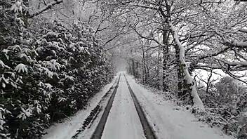 Chick with Huge Ass Receives Intense Pleasure