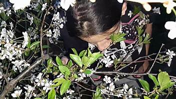 I Had Sex With A Stranger At My House After The Park