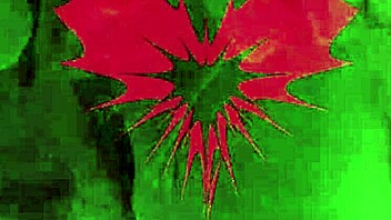 mistress shows wide open pussy while sucking my cock close up