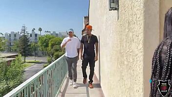 Mini Stallion in Bareback Group Action