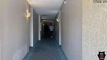 Mini Stallion in Bareback Group Action