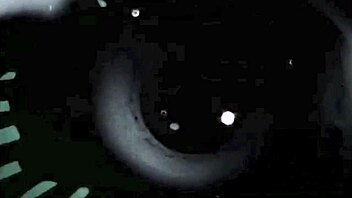 vintage black pussy hairy retro 😍