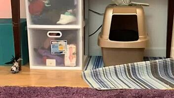 PUSSY PLAY Boys, Wanna SLIDE Your DICK in This WET SQUIRTING Pussy?