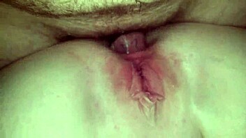 A couple engages in anal sex.