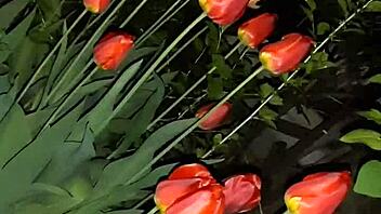 Invited neighbor for flowers, then fucked her wet pussy