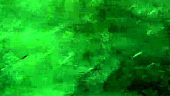 Invited neighbor for flowers, then fucked her wet pussy