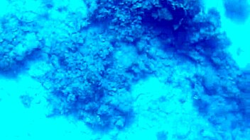 Public sex couples on a yacht with teen creampie and fucking