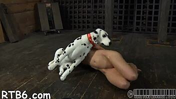 Sadomasochism clips showcase tight bondage and raw sucking