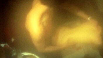 my hot boyfriend playfully chases me into the bathroom with a surprise