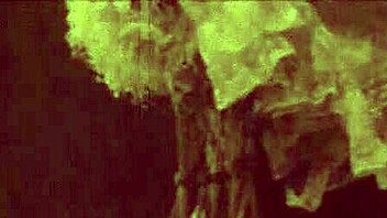 Retro-style animated erotica