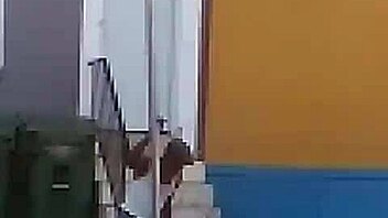 From innocent dancing to clothes ripped in a wild strip club orgy.