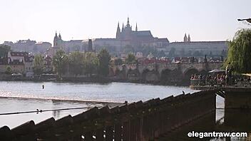 The ambitious student tries anal for the first time.