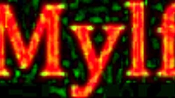 you will make it up to me, summer vixen