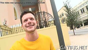 dilettante gay sex