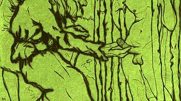Classic erotic illustrations from a bygone era