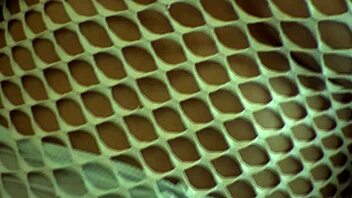 we watch marleen masturbate with fingering 😍