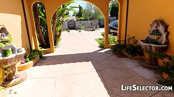 Porn Fantasy Clashes with Harsh Reality Sex