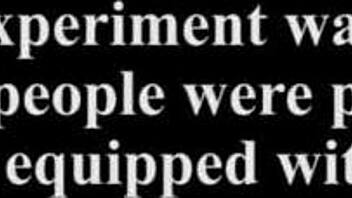 Secret experiment in room 1389 on day 673.