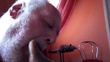 Geile strumpfhosenstute durch gefingert u vollgespritzt