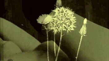 Vintage Porn Challenge 1870s Versus 1970s