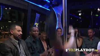 crazy nights with swingers