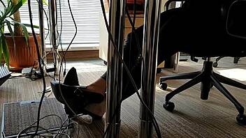 krystal davis gives a pov blowjob and gets her pussy fucked hard