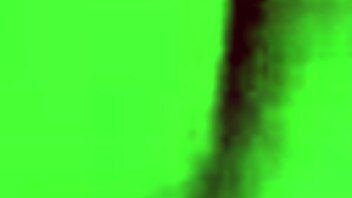 thai brunette sucks cock all day