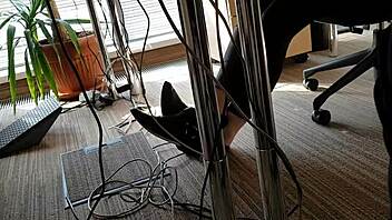 krystal davis gives a pov blowjob and gets her pussy fucked hard